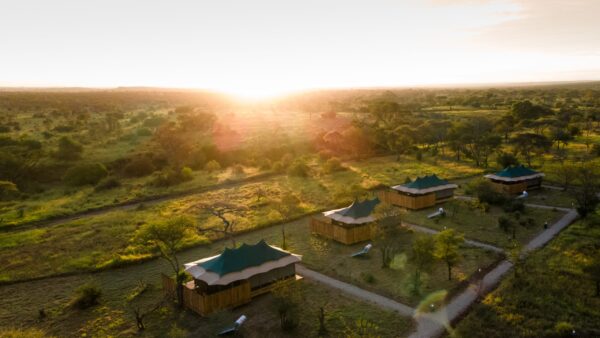 5 Day Luxury Best of Tanzania Safari